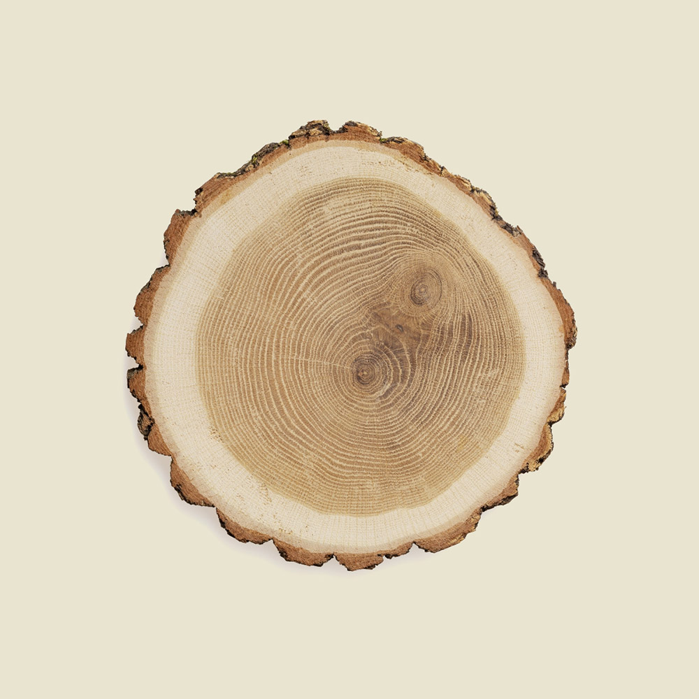 product-image1